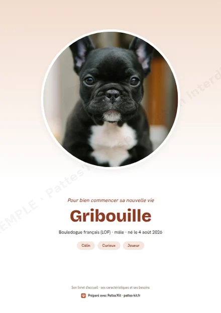 Exemple de dossier de cession d'un chiot : la couverture du dossier de Gribouille