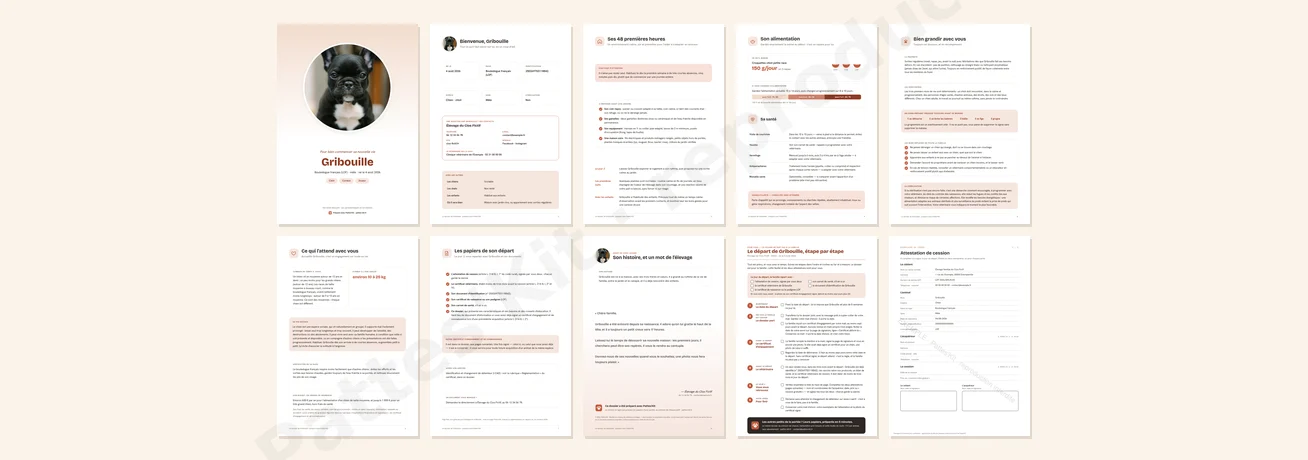 Exemple de dossier de cession d'un chiot : les pages du dossier de Gribouille en miniature