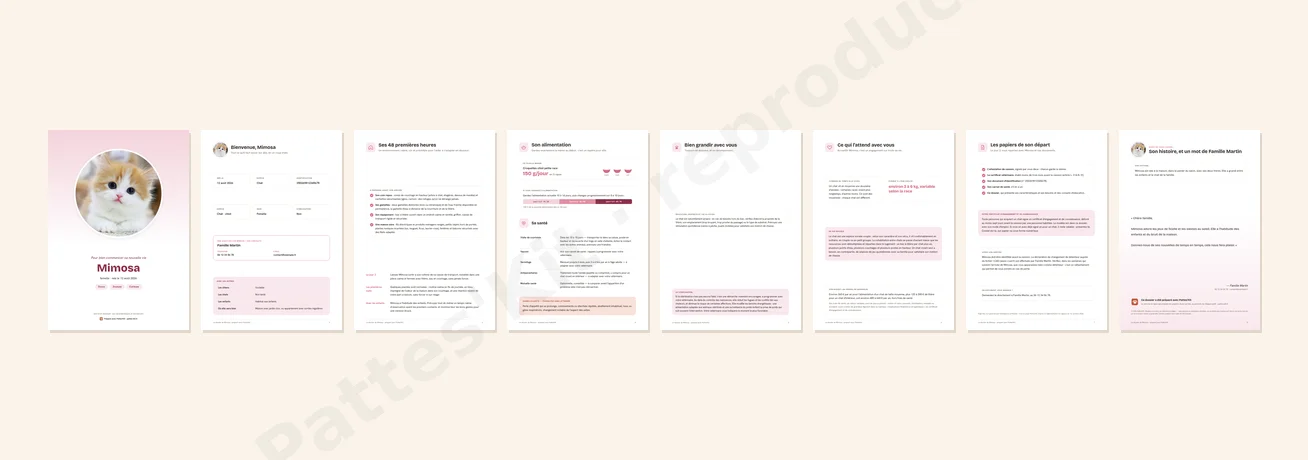 Exemple de dossier de don d'un chaton : les pages du dossier de Mimosa en miniature