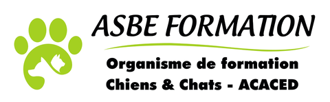 Logo ASBE Formation