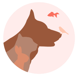 Logo maformationanimal.fr