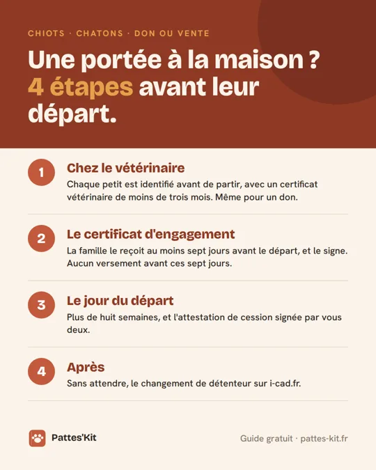Les 4 étapes avant le départ