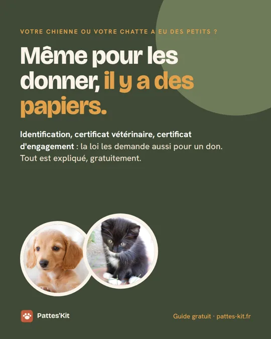 Même pour les donner