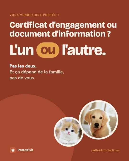 Certificat d'engagement ou document d'information ?
